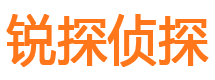 临武市私人侦探